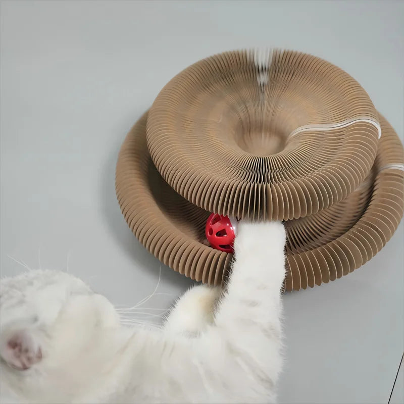 Kitten Curl Toy Foldable Magic Organ Cat Scratching Board Cat Bed