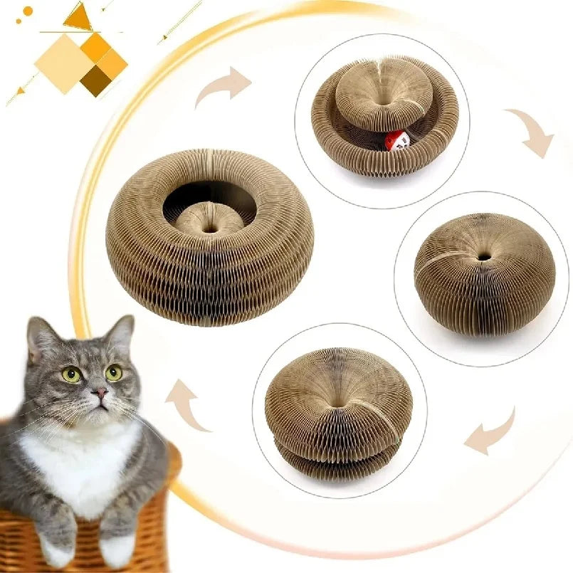 Kitten Curl Toy Foldable Magic Organ Cat Scratching Board Cat Bed