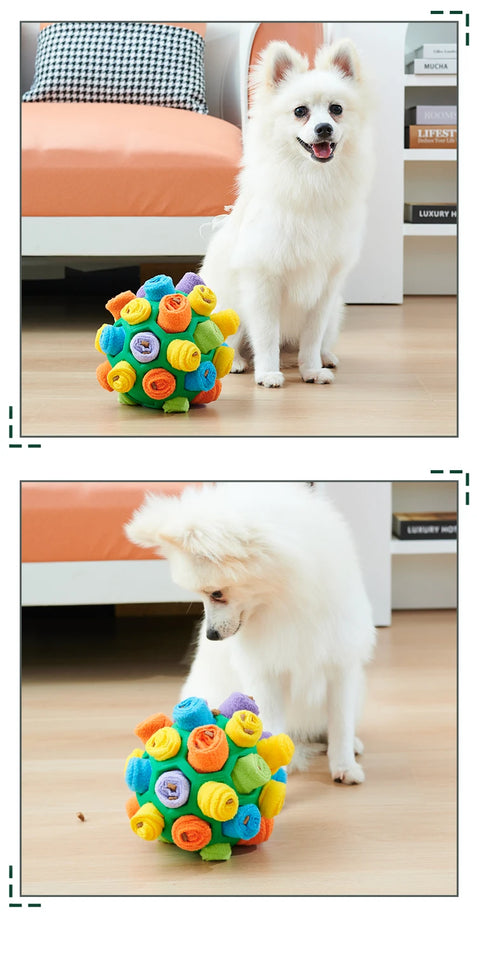 Sniffing Puzzle Interactive Training Pet ball For Dog Cat