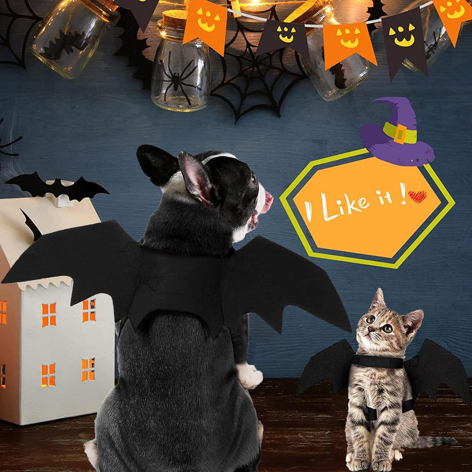 Halloween Costumes: Bat Wings for Small, Medium & Large Dogs & Cats - Funny Pet Apparel, Cosplay Clothes, Cool Outfits (S)