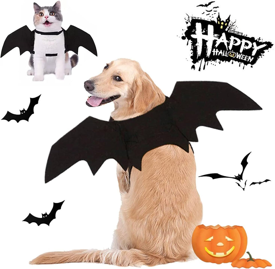 Halloween Costumes: Bat Wings for Small, Medium & Large Dogs & Cats - Funny Pet Apparel, Cosplay Clothes, Cool Outfits (S)