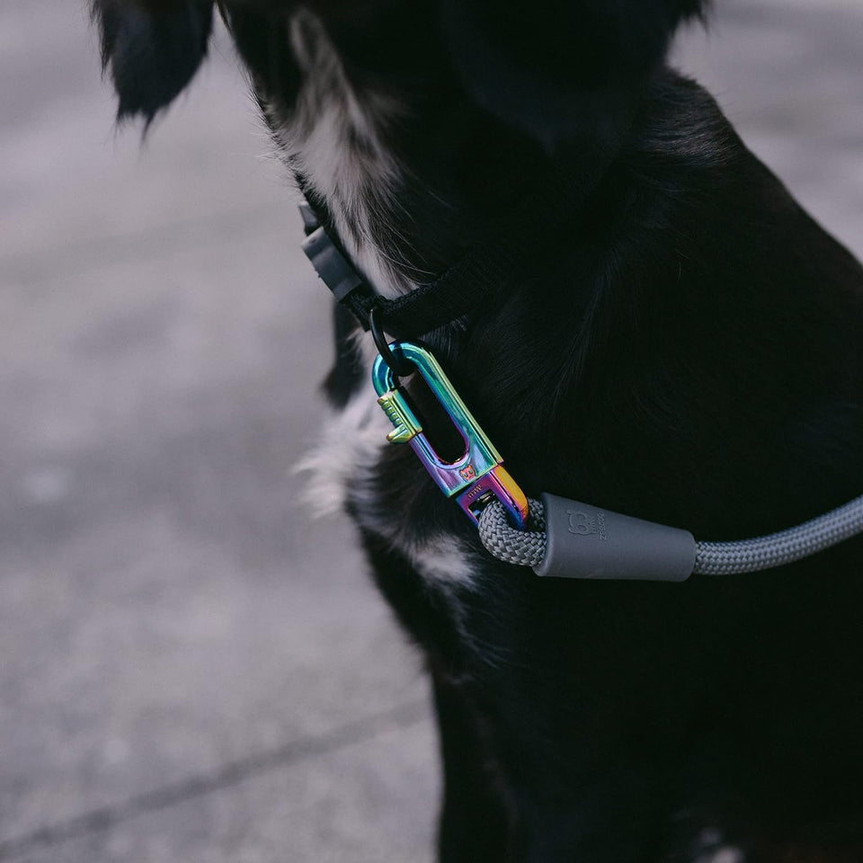 Titanium Grey 3-In-1 Hands-Free Dog Leash, Versatile Crossbody Rope & Adjustable Long Leash