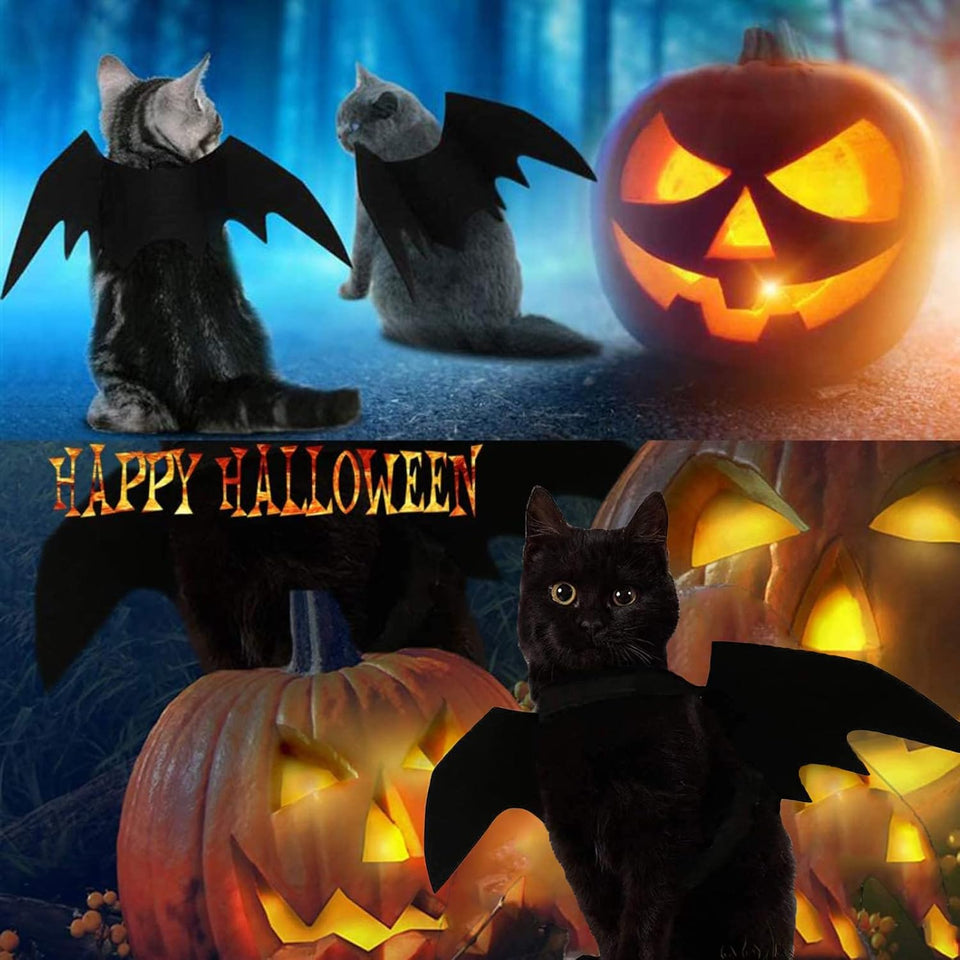 Halloween Costumes: Bat Wings for Small, Medium & Large Dogs & Cats - Funny Pet Apparel, Cosplay Clothes, Cool Outfits (S)