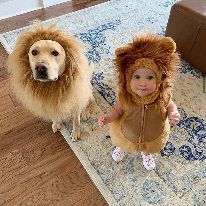 Dog Lion Costume, Funny Cartoon Jumpsuit Holiday Party pet Apparels