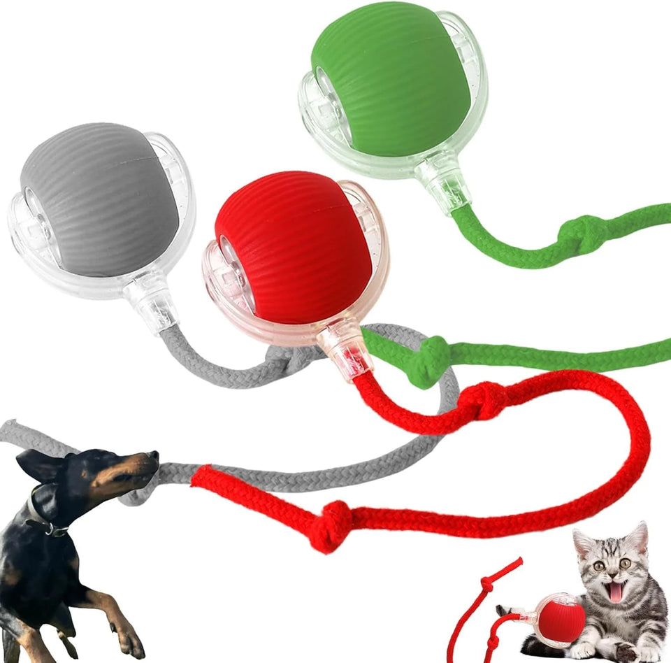 Chewie Ball, Chewie Viral Rolling Ball, Interactive Cat Ball Toy, Chewie Ball for Dogs, Chewie Smart Automatic Rolling Pet Ball, Automatic 360° Rotating Rolling Ball with USB Charging