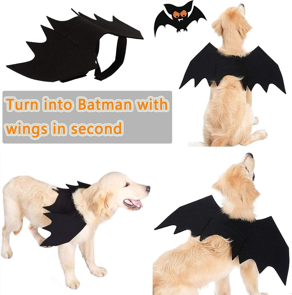 Halloween Costumes: Bat Wings for Small, Medium & Large Dogs & Cats - Funny Pet Apparel, Cosplay Clothes, Cool Outfits (S)